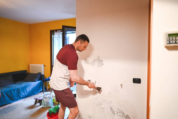 Best Residential Mold Removal  in Val Verde Park, TX
